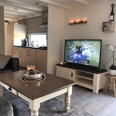 Great Veluwe With Private Hottub And Big Garden